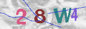CAPTCHA-Bild