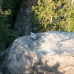 Bilder Sächsische Schweiz, Felsenbühne Rathen, Bastei