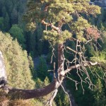 Bilder Sächsische Schweiz, Felsenbühne Rathen, Bastei