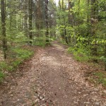 Spielplan FB Rathen, Wanderung von Ferienwohnung Sächsische Schweiz