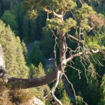 Wanderung rund um die Bastei in der Sächsischen Schweiz